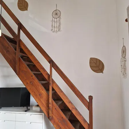 Apartment Le Mimosas Bormes-les-Mimosas